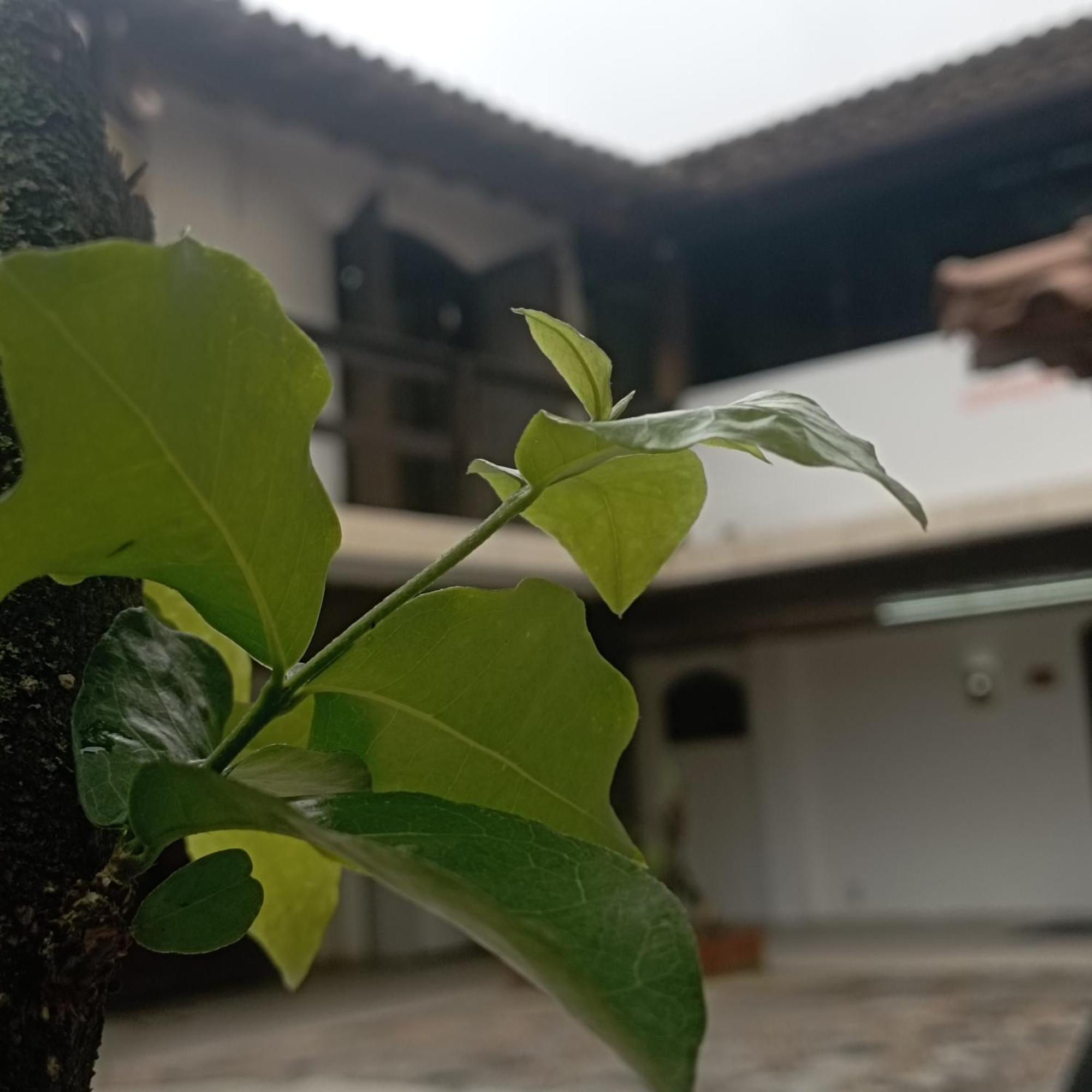 Guest house Planet